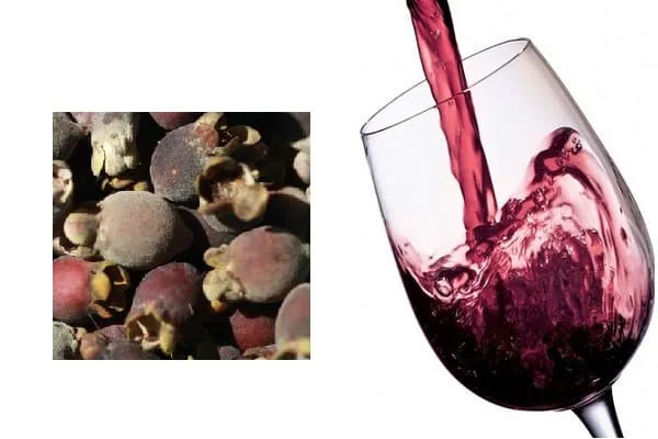 A composite image featuring a pile of dark, round fruits on the left and red wine being poured into a glass on the right.
