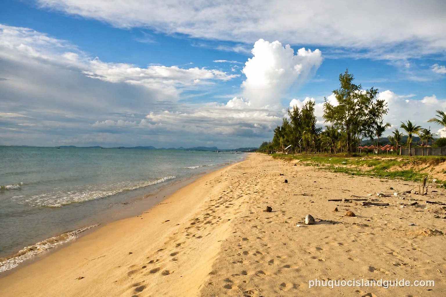 A sandy beach with gentle waves, the ocean, and a line of green trees along the shore under a cloudy sky. Footprints are visible in the sand.