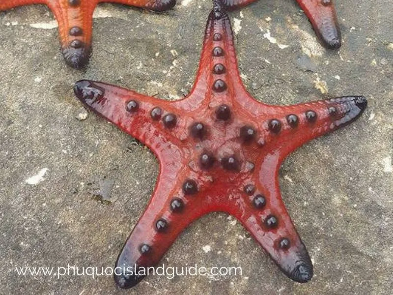 Beaches on Phu Quoc Island
