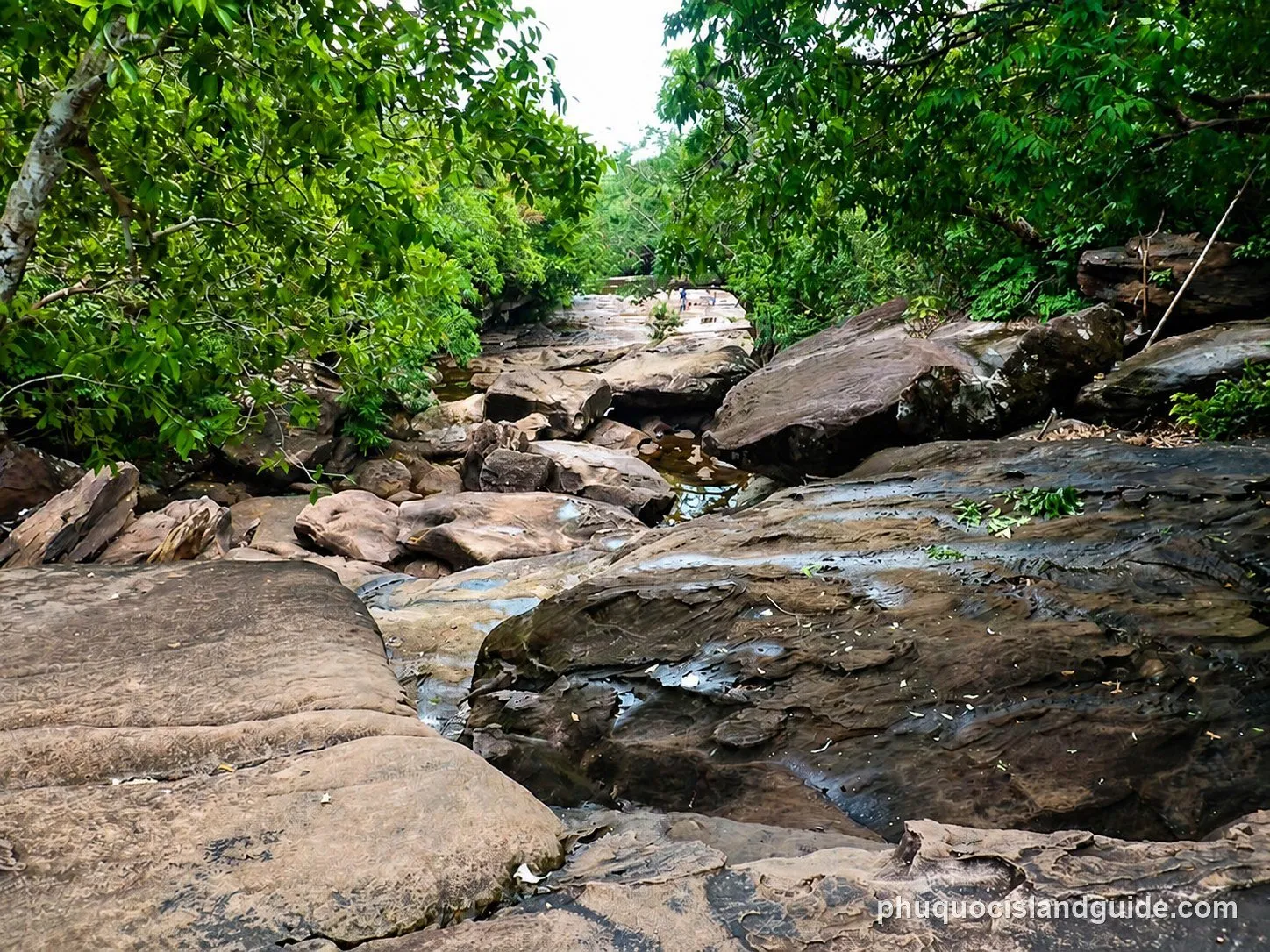 Broad granite boulders and shallow pools of the Suoi Da Ban stream bed, enclosed by jungle