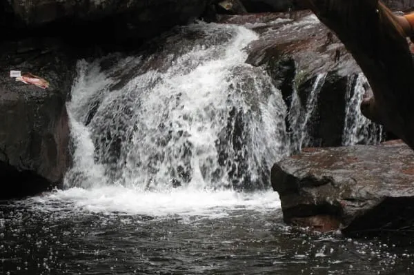 Suoi tien stream