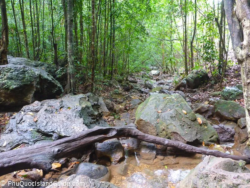 tranh stream phu quoc