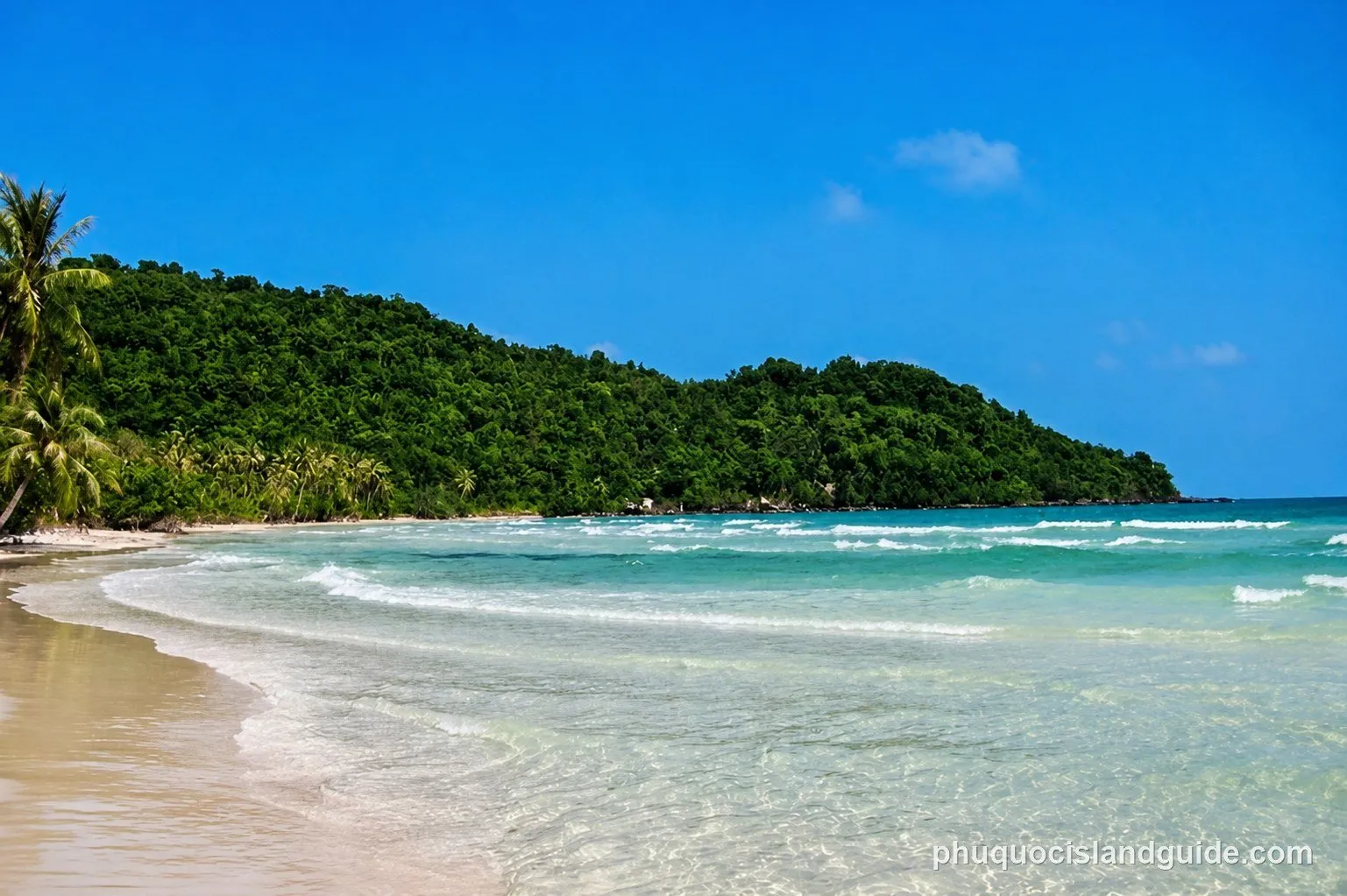 White sand and clear water below a forested headland