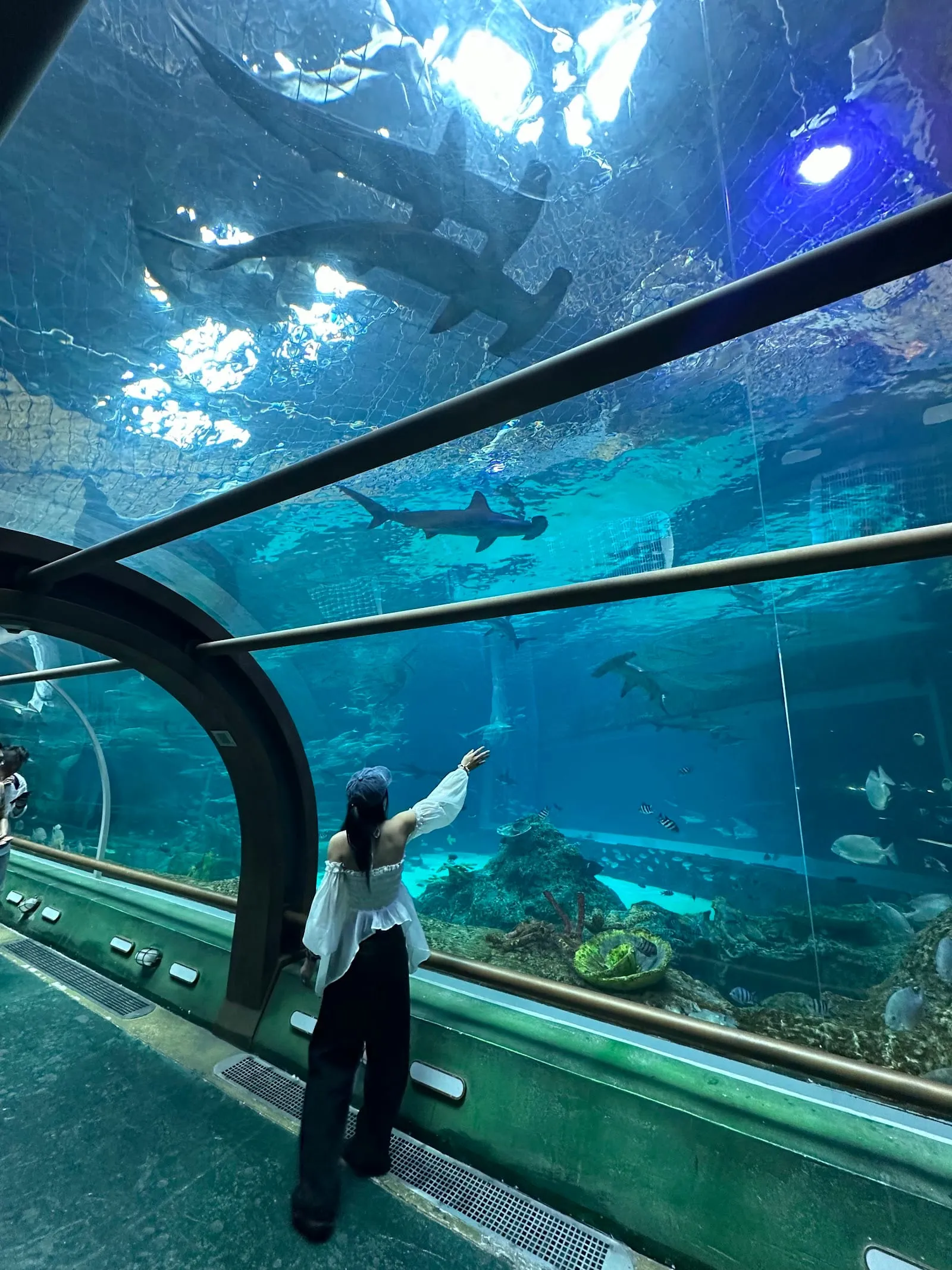 The walk-through tunnel of the Sea Shell aquarium at VinWonders, with a shark swimming overhead
