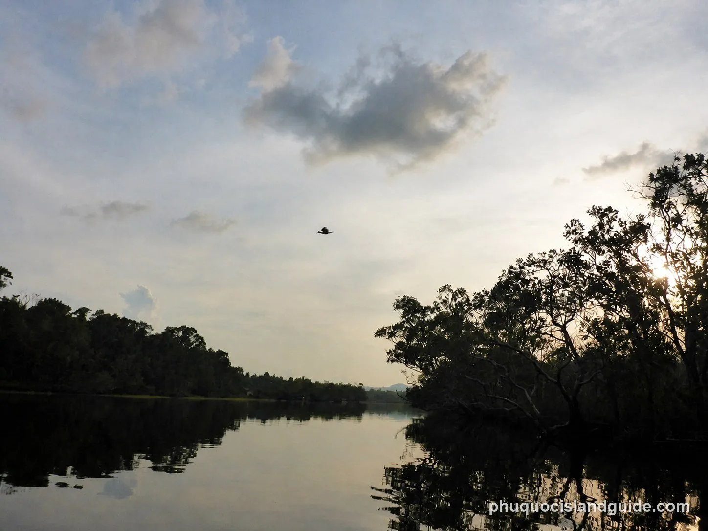 A serene river or lake at dusk or dawn, flanked by dense tropical trees. A bird flies in the cloudy sky, with sunlight peeking through the foliage on the right.