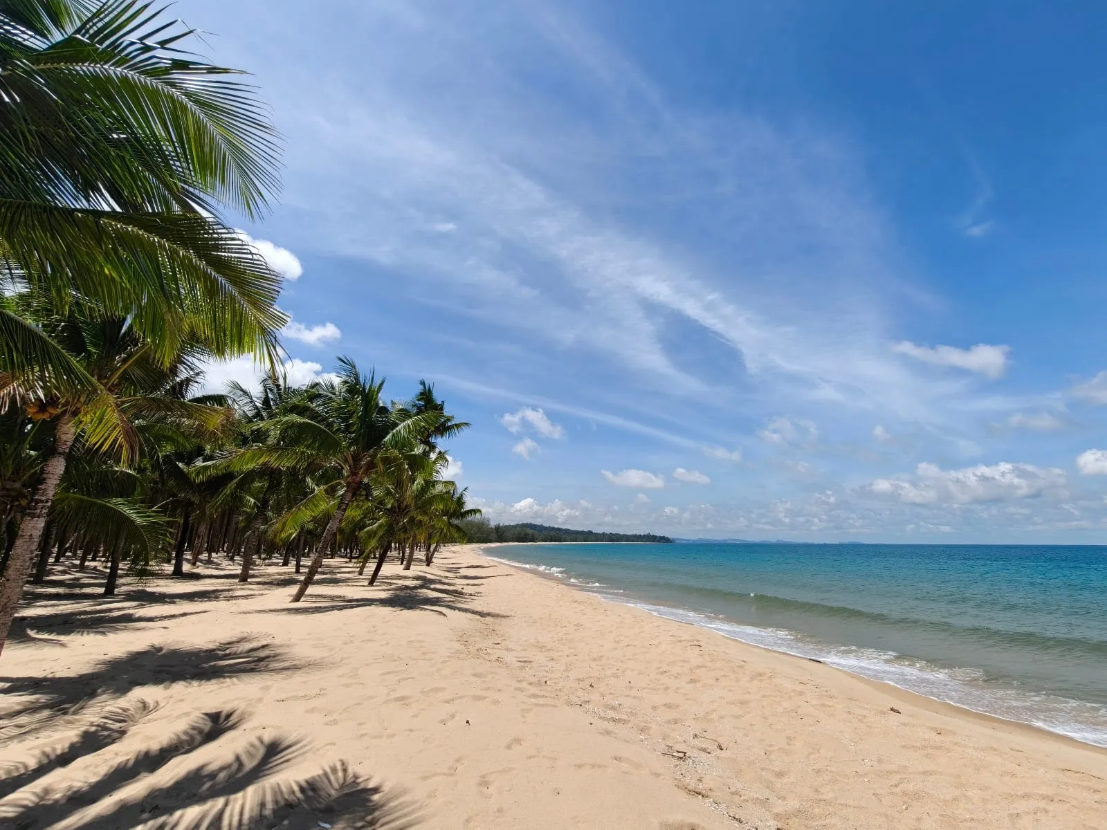 Coconut palms and an empty beach at Vung Bau